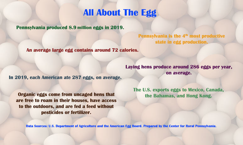Infographic Showing Egg Facts