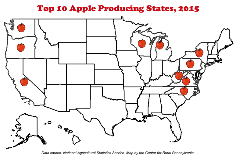 Top 10 Apple Producing States, 2015