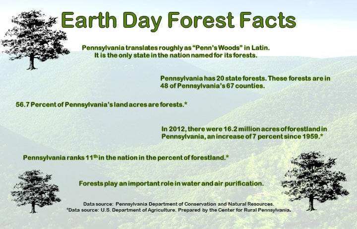 Infographic Showing Earth Day Forest Facts