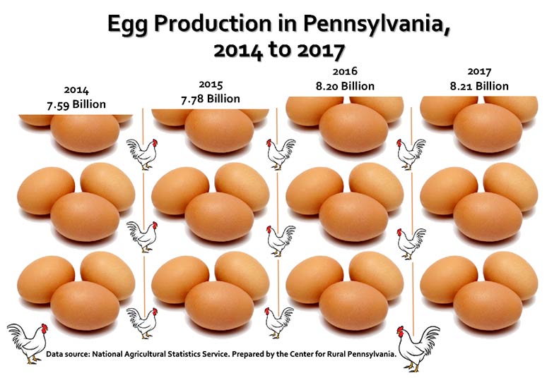 Infographic Showing Egg Production in Pennsylvania, 2014 to 2017