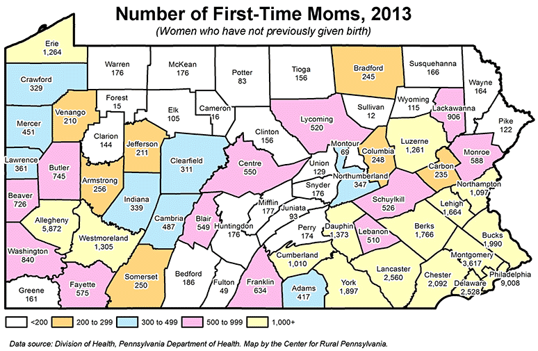 Number of First-Time Moms, 2013