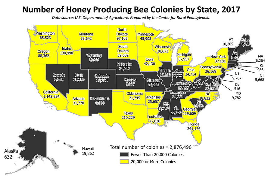 United States Map: Number of Honey Producing Bee Colonies by State, 2017
