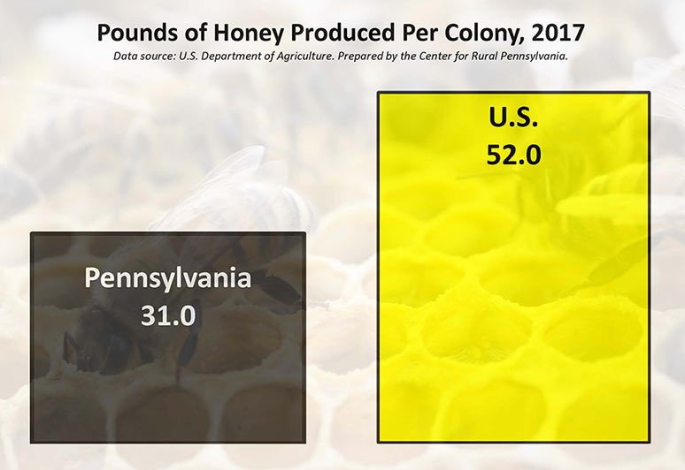 Graph: Pounds of Honey Produced Per Colony, 2017