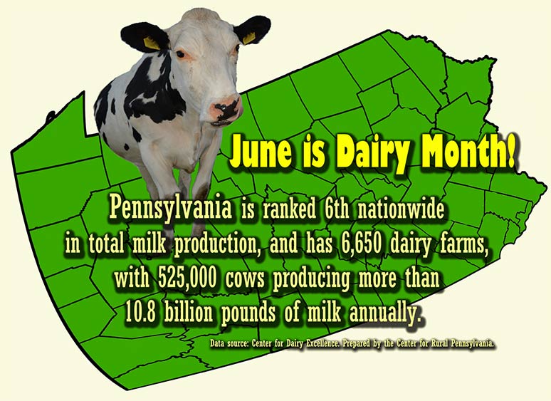 Infographic: June is Dairy Month! Pennsylvania is ranked 6th nationwide in total milk production, and has 6,650 dairy farms, with 5252,000 cows producing more than 10.8 billion pounds of milk annually.