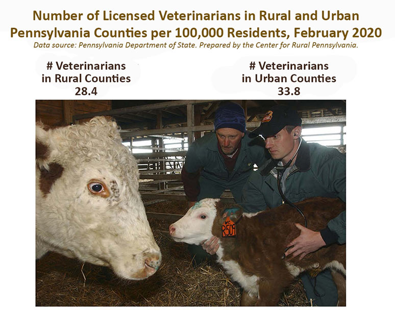 Infographic Showing Number of Licensed Veterinarians in Rural and Urban Pennsylvania Counties per 100,000 Residents, February 2020