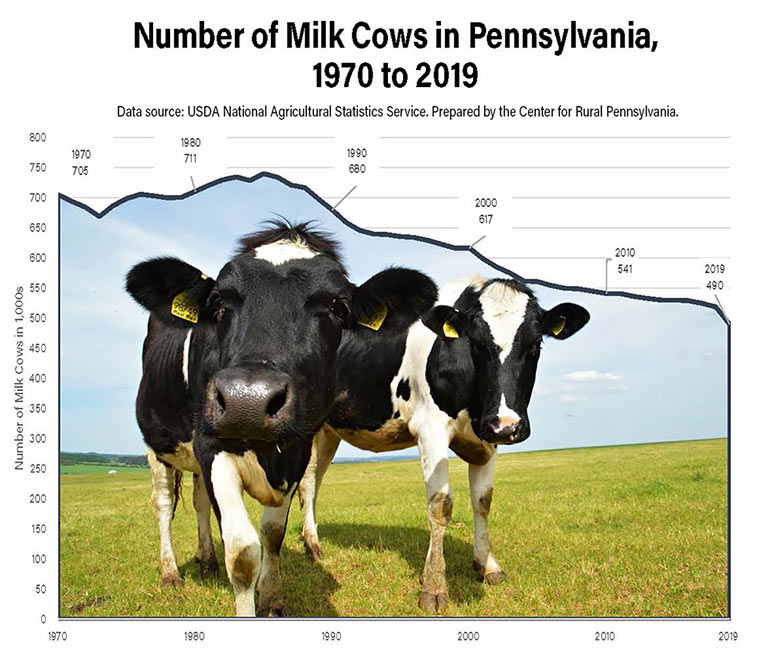 Infographic: Number of Milk Cows in Pennsylvania, 1970 to 2019
