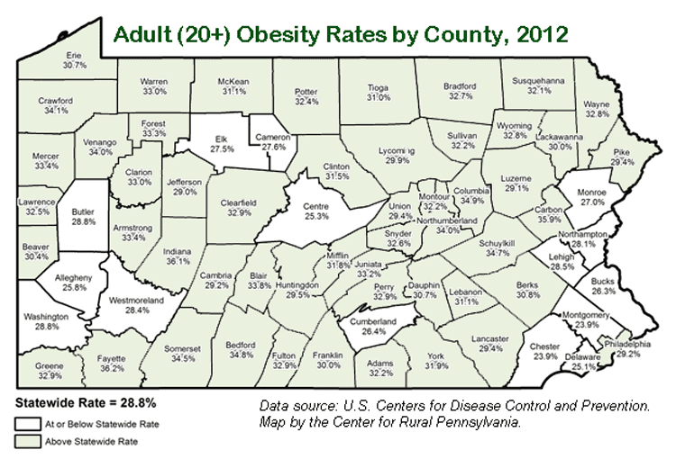 Adult (20+) Obesity Rates by County, 2012