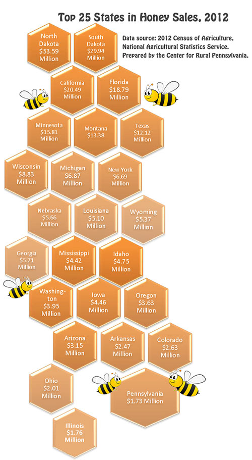 Infographic Showing Top 25 States in Honey Sales, 2012