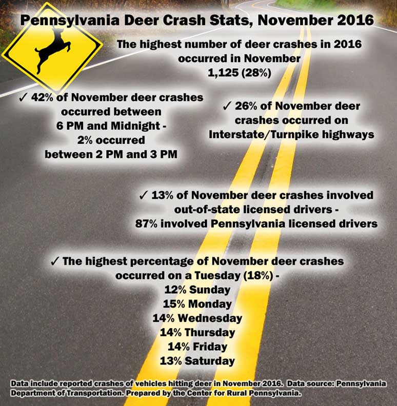 Infographic Showing Pennsylvania Deer Crash Stats, November 2016