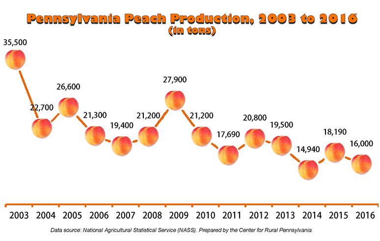 Chart Showing Pennsylvania Peach Production, 2003 to 2016 (in tons)