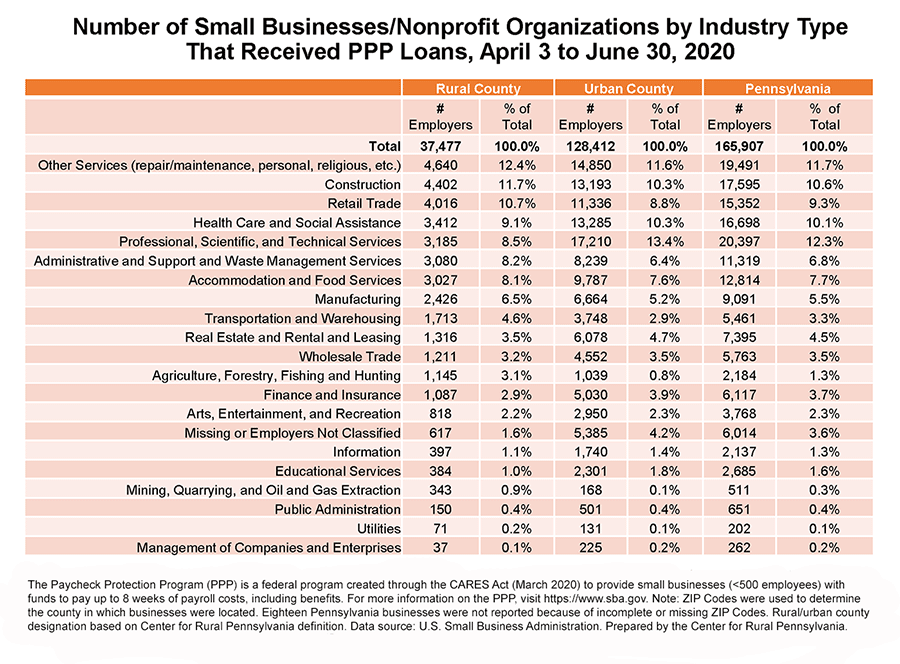 Table Showing Number of Small Businesses/Nonprofit Organizations by Industry Type That Received PPP Loans, April 3 to June 30, 2020