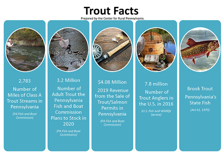 Infographic Showing Trout Facts