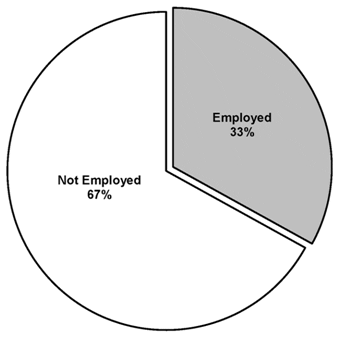 Percent of 11th Graders Who Were Employed, Wave 3