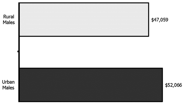 Median Earnings of Rural and Urban Males, 2015