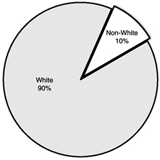 Rural Working Poor by Race, 2016