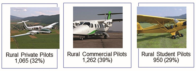 Infographic: Number of Rural Airplane Pilots by Type, 2020
