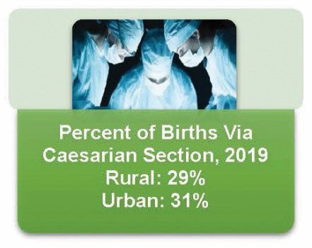 Infographic: Percent of Births Via Caesarian Section, 2019