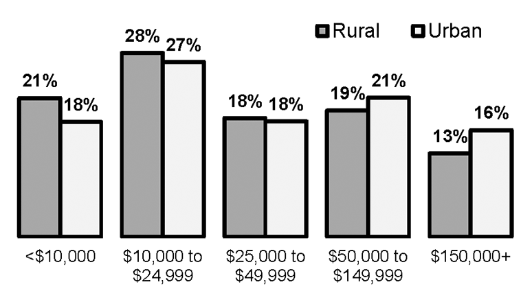 Graph Showing PPP Loan Amounts for Rural and Urban Employers