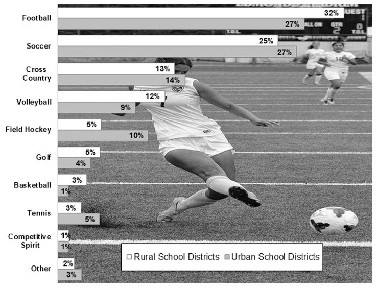 Graph: Percent of Rural and Urban Students Participating in Fall Sports by Type, 2018-2019